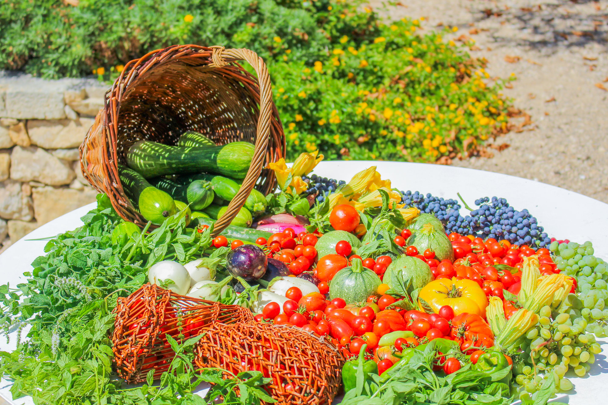 2025 récolte août (9)