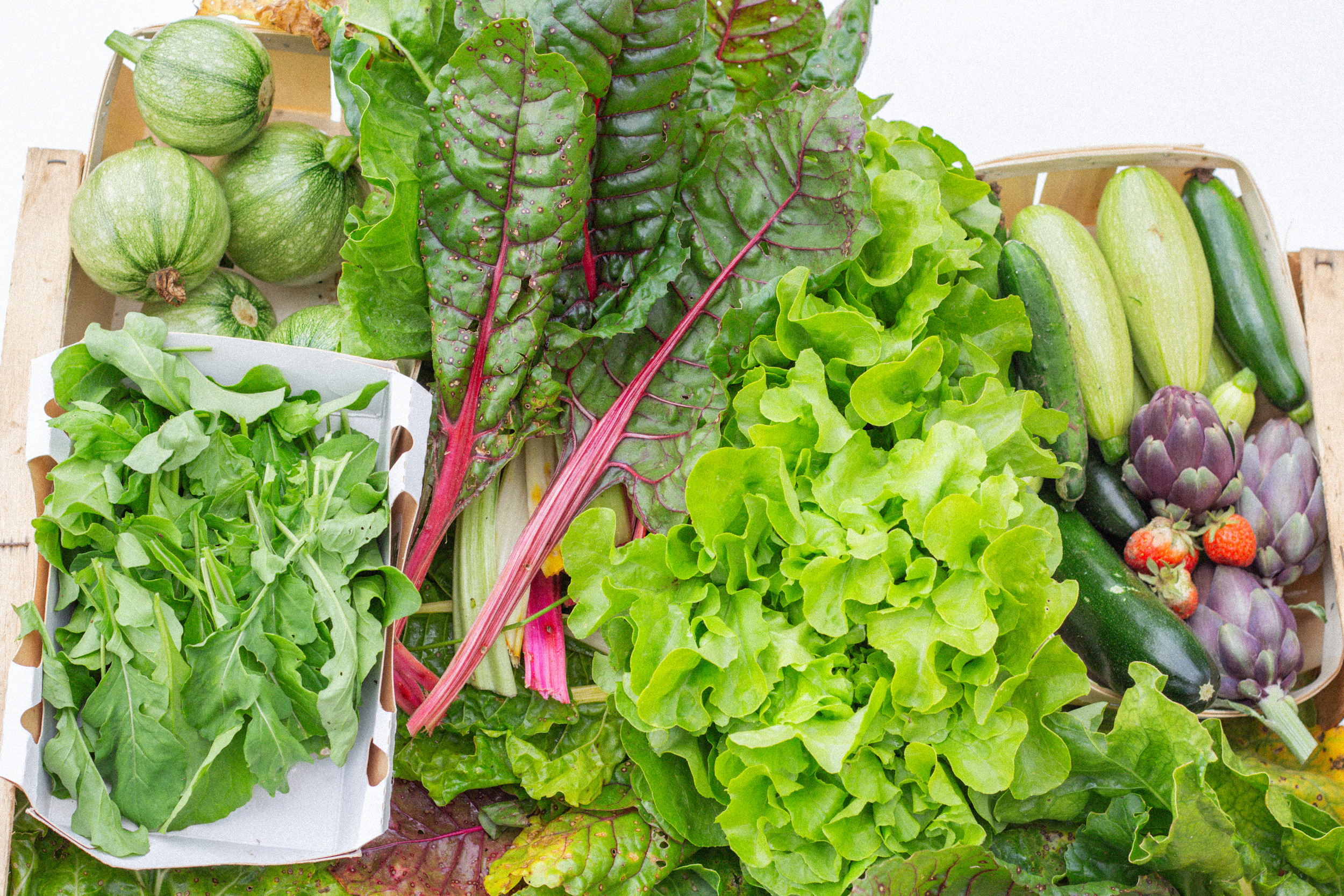 2025 - récoltes (2-1)