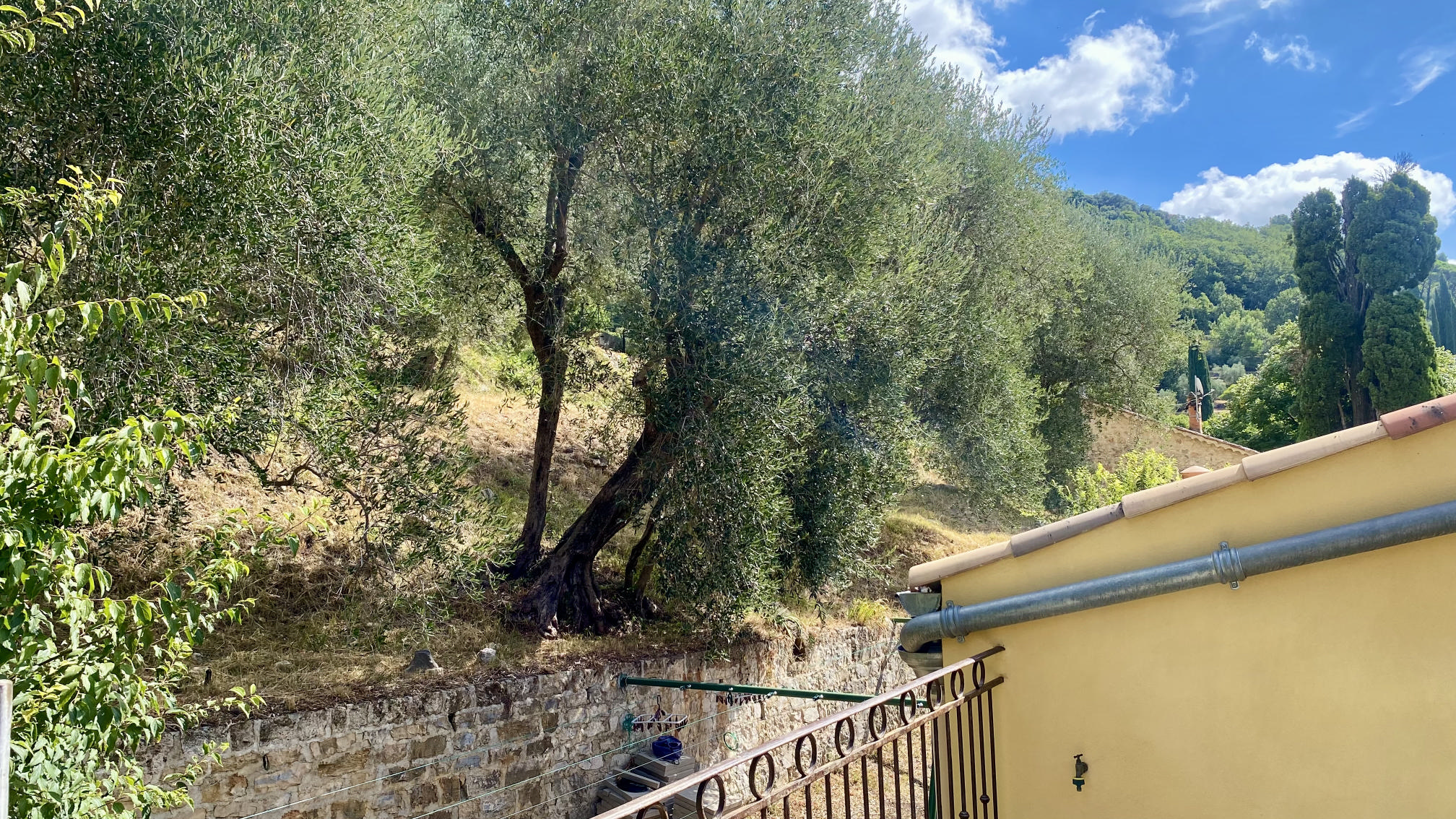 Chambre 3 - Terrasse (5)